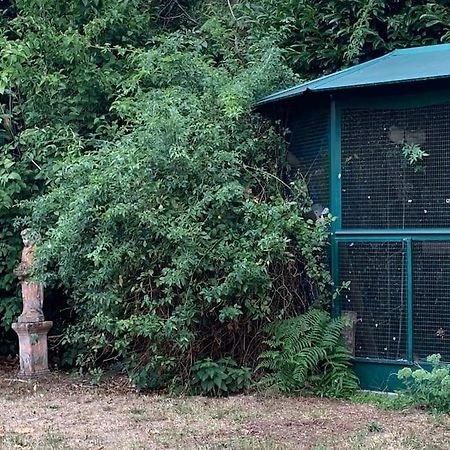 Maisonnette En Clairiere De Foret Gambais Dış mekan fotoğraf