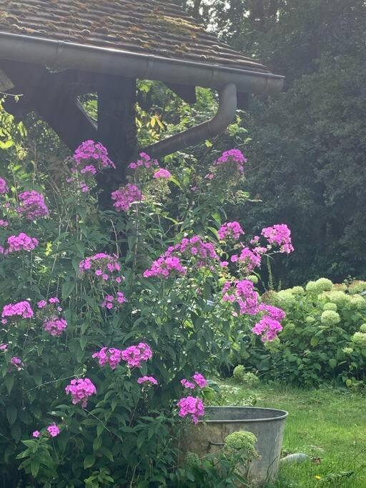 Maisonnette En Clairiere De Foret Gambais Dış mekan fotoğraf