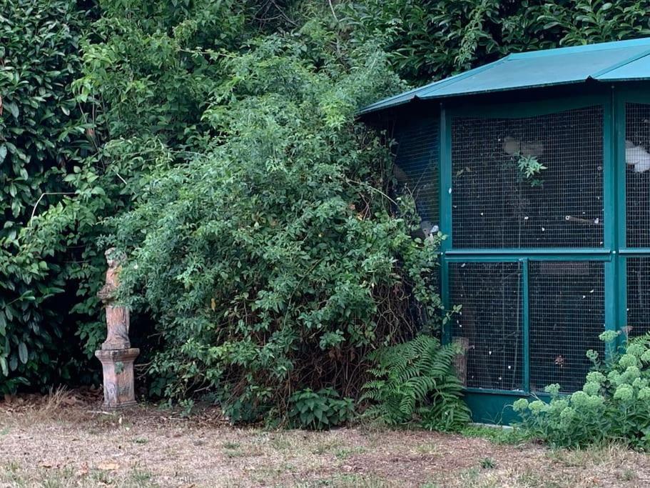 Maisonnette En Clairiere De Foret Gambais Dış mekan fotoğraf