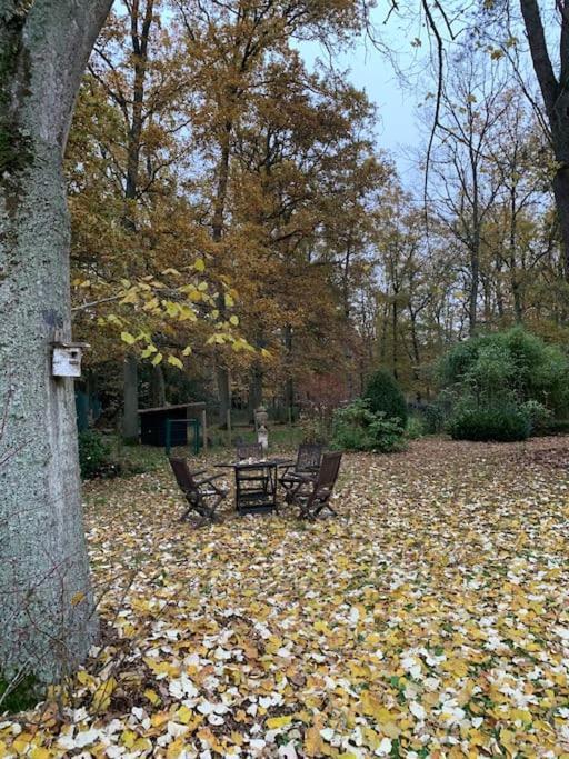 Maisonnette En Clairiere De Foret Gambais Dış mekan fotoğraf