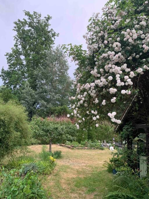Maisonnette En Clairiere De Foret Gambais Dış mekan fotoğraf