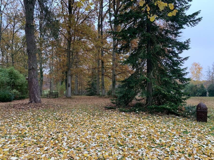 Maisonnette En Clairiere De Foret Gambais Dış mekan fotoğraf