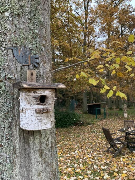 Maisonnette En Clairiere De Foret Gambais Dış mekan fotoğraf