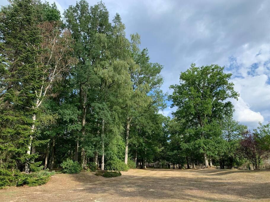 Maisonnette En Clairiere De Foret Gambais Dış mekan fotoğraf